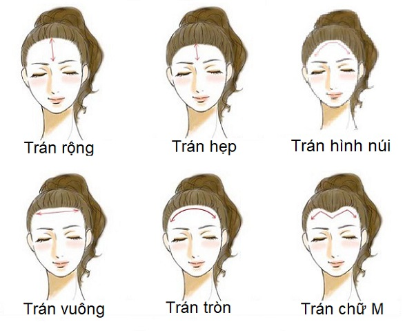 Tướng mặt phú quý hay vất vả 4 cac dang tuong tran pho bien va cach xem tuong tran de nhan biet tri tue ung dung