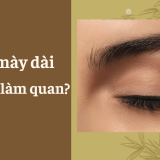 Có phải lông mày dài có tướng làm quan? - Tử Vi Cổ Học