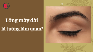 Có phải lông mày dài là tướng làm quan?