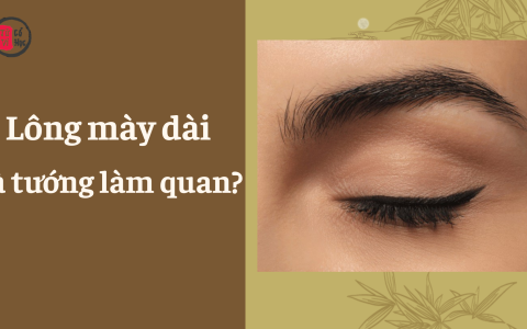 Có phải lông mày dài là tướng làm quan? 16 Có phải lông mày dài là tướng làm quan?