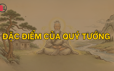 Quý tướng có đặc điểm như thế nào