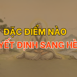Đặc điểm nào quyết định sang hèn