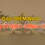 Đặc điểm nào quyết định sang hèn | Tử Vi Cổ Học