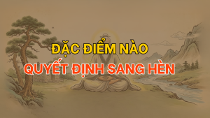 Đặc điểm nào quyết định sang hèn