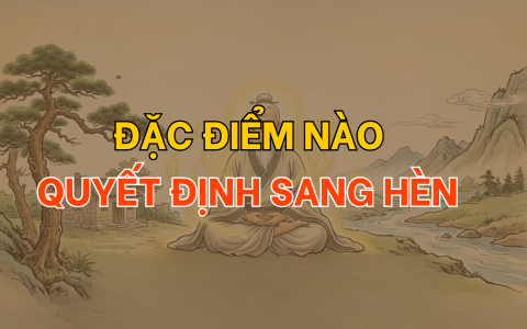 Đặc điểm nào quyết định sang hèn 11 Đặc điểm nào quyết định sang hèn