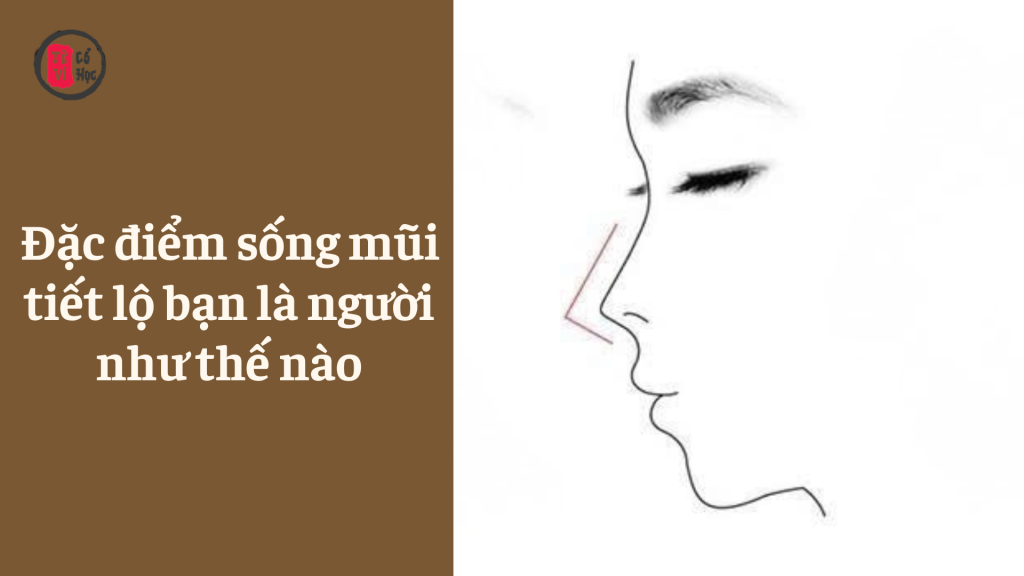 Đặc điểm Sống mũi chỉ ra Bạn là người như thế nào | Tử Vi Cổ Học