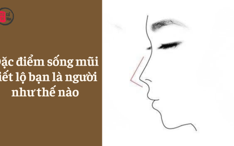 Đặc điểm sống mũi tiết lộ bạn là người như thế nào 9 Đặc điểm sống mũi tiết lộ bạn là người như thế nào