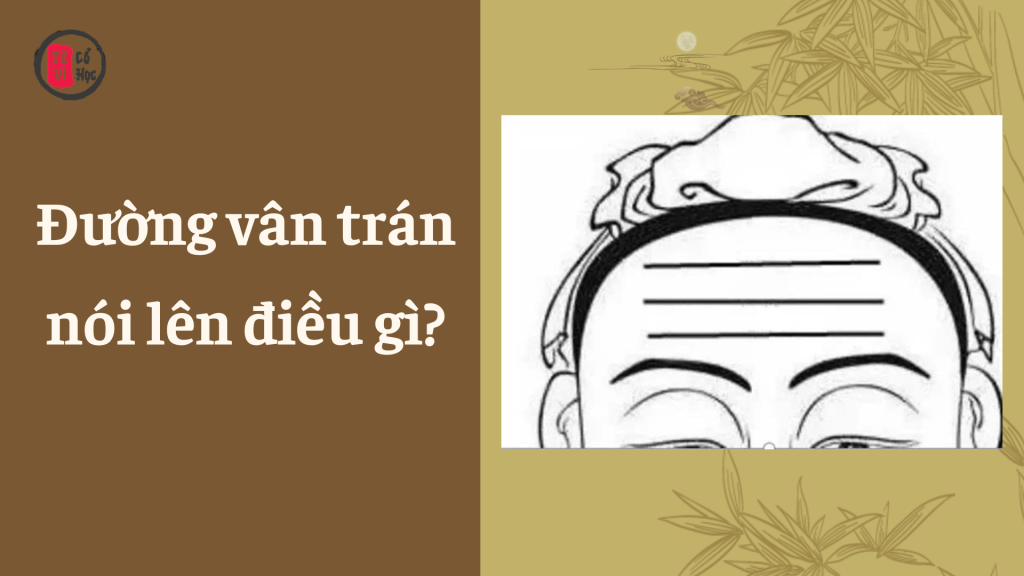 Đường vân trên trán bạn nói lên điều gì? | Tử Vi Cổ Học