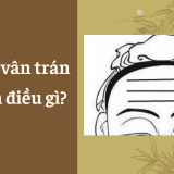 Đường vân trên trán bạn nói lên điều gì? | Tử Vi Cổ Học