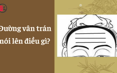 Đường vân trên trán nói lên điều gì?