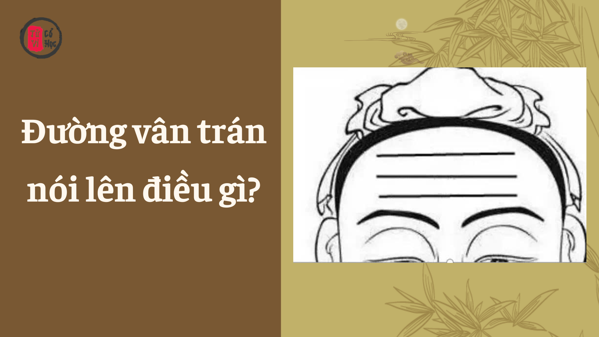 Đường vân trên trán bạn nói lên điều gì? | Tử Vi Cổ Học
