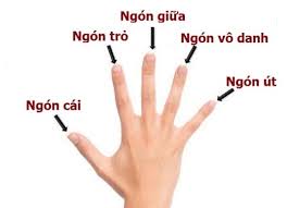images 1 4
