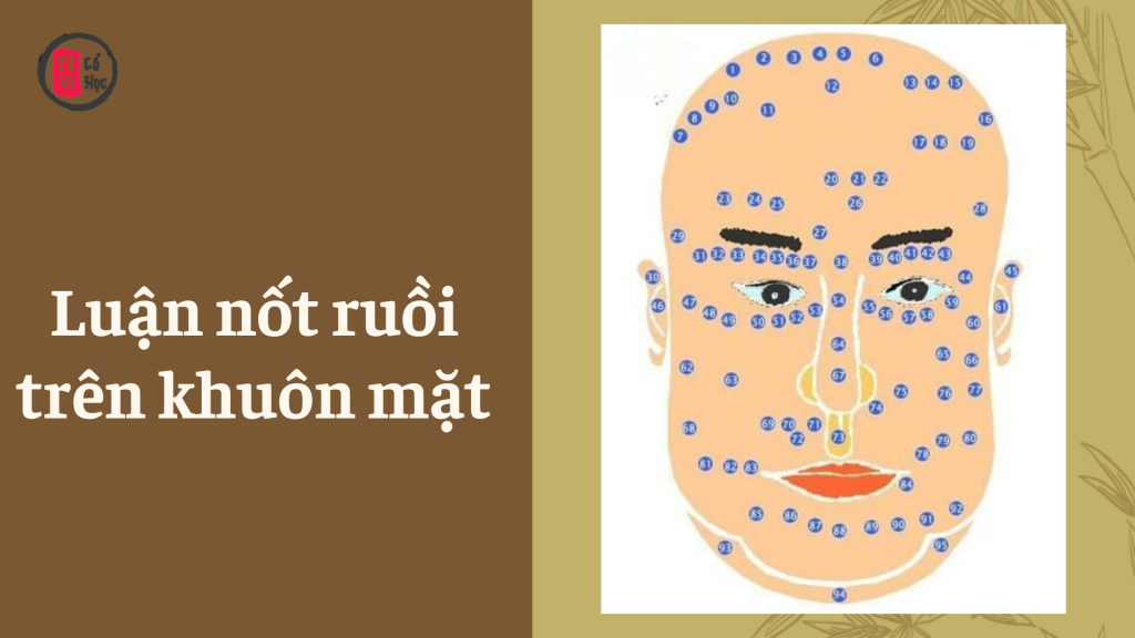 Khuôn mặt Bạn có nốt ruồi không? | Tử Vi Cổ Học