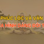 Nhân tướng học: Luận phúc lộc và vận mệnh qua hình dáng đôi tai