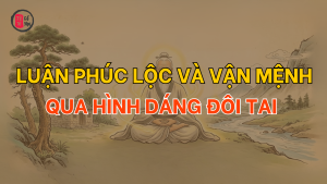 Nhân tướng học: Luận phúc lộc và vận mệnh qua hình dáng đôi tai