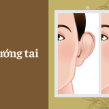 Xem bói tướng tai của bạn | Tử Vi Cổ Học
