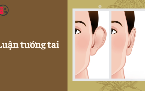 Xem bói tướng tai của bạn