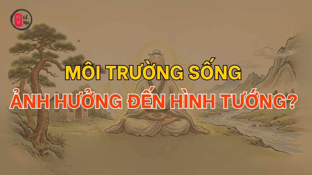 Môi trường sống có ảnh hưởng đến hình tướng? 1 Môi trường sống ảnh hưởng đến hình tướng? | Tử Vi Cổ Học