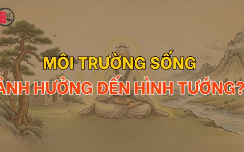Môi trường sống có ảnh hưởng đến hình tướng? 24 Môi trường sống có ảnh hưởng đến hình tướng?