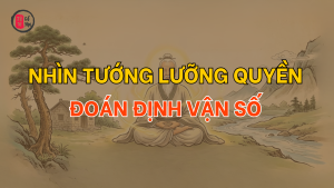 Nhìn tướng lưỡng quyền đoán định vận số thăng trầm của đời người