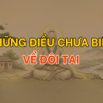 Những điều chưa biết về đôi tai trong nhân tướng học