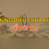 Những điều chưa biết về đôi tai | Tử Vi Cổ Học