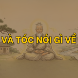 Râu và Tóc nói gì về bạn | Tử Vi Cổ Học