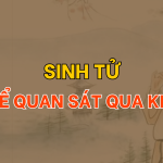 Vận mệnh – Sinh tử có thể quan sát qua khí sắc