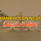 Thần khí con người ẩn dấu ở đâu | Tử Vi Cổ Học