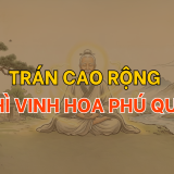 Trán cao rộng thì vinh hoa phú quý | Tử Vi Cổ Học