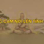 Tướng cằm nói lên tính cách