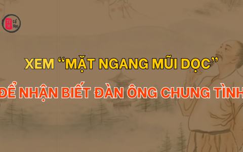 Xem “mặt ngang mũi dọc” để nhận biết đàn ông chung tình