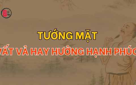 Tướng lông mày: Dấu hiệu của cuộc đời vất vả hay hưởng phúc