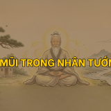 Tướng mũi trong nhân tướng học – Luận giải về tính cách, tài vận và công danh 4 Tướng mũi tổng quan xem bói qua tướng mũi | Tử Vi Cổ Học