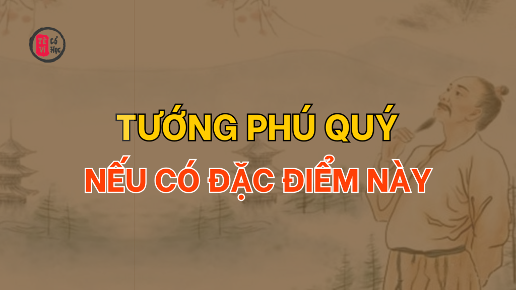 Tướng Phú Quý nếu có đặc điểm này 1 Tướng Phú quý nếu có đặc điểm này | Tử Vi Cổ Học