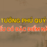 Tướng Phú Quý nếu có đặc điểm này 5 Tướng Phú quý nếu có đặc điểm này | Tử Vi Cổ Học