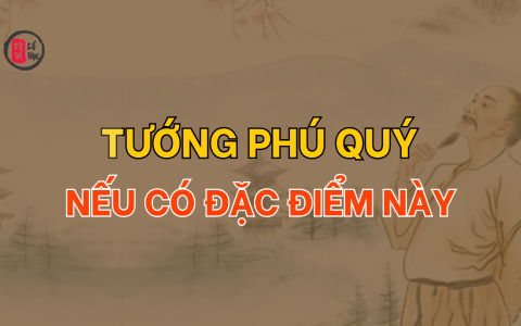 Tướng Phú Quý nếu có đặc điểm này