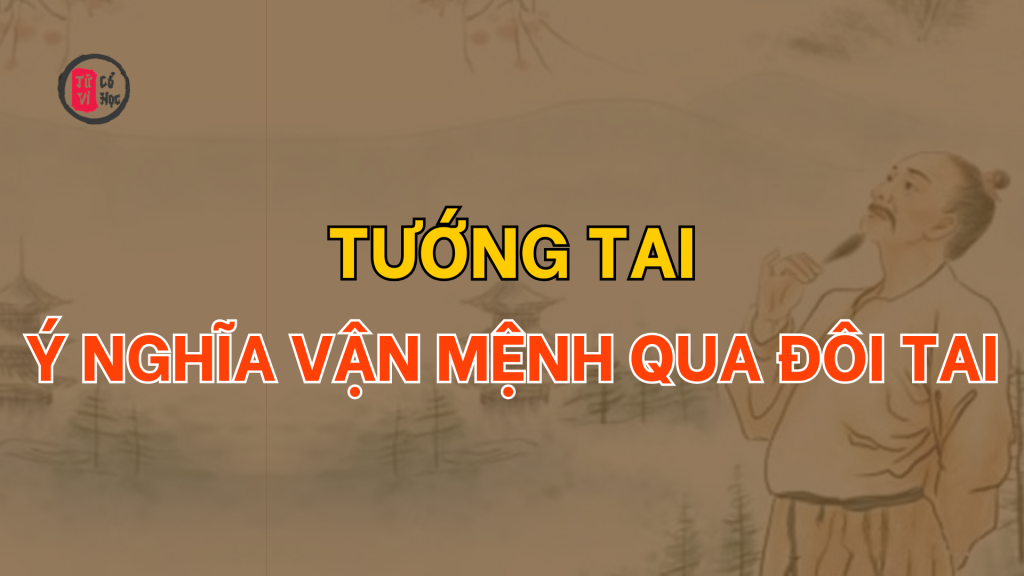 Tướng tai tổng quan về xem bói tướng qua đôi tai | Tử Vi Cổ Học