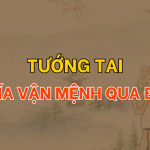 Giải mã vận mệnh qua tướng tai