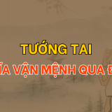 Tướng tai tổng quan về xem bói tướng qua đôi tai | Tử Vi Cổ Học