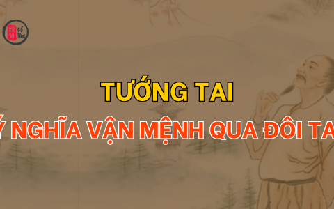 Giải mã vận mệnh qua tướng tai