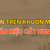 Các loại vân trên khuôn mặt báo hiệu cát hung | Tử Vi Cổ Học