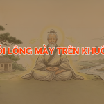 Xem bói lông mày trên khuôn mặt