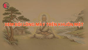 Trang chủ 70 Xem bói lông mày trên khuôn mặt
