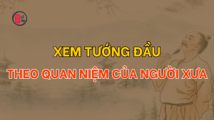 Trang chủ 52 Xem tướng đầu theo quan niệm của người xưa