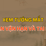 Xem tướng mắt đoán vận hạn và tai hoạ 7 Xem tướng mắt đoán vận hạn và tai họa| Tử Vi Cổ Học