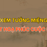 Xem tướng miệng biết hoạ phúc cuộc đời 2 Xem bói tướng miệng biết họa phúc cuộc đời | Tử Vi Cổ Học