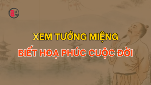 Trang chủ 65 Xem tướng miệng biết hoạ phúc cuộc đời