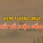 Xem tướng mũi biết về cuộc sống