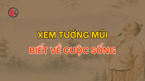 Trang chủ 64 Xem tướng mũi biết về cuộc sống